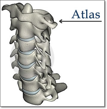 atlas os chilton atlas os chilton